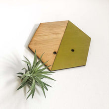 Load image into Gallery viewer, Chartreuse Hexagon Wall Hanging Planter for Air Plants Display
