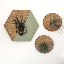 Load image into Gallery viewer, Small Round Engraved Wall Hanging Planter For air Plants Display
