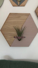 Load and play video in Gallery viewer, Blush Hexagon Wall Hanging Planter for Air Plants Display /
