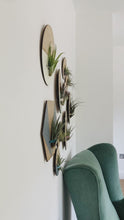 Load and play video in Gallery viewer, Sage Round Wall Hanging Planter for Air Plants Display
