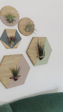 Load and play video in Gallery viewer, Cream Hexagon Wall Hanging Planter for Air Plants Display
