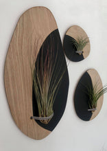 Load image into Gallery viewer, Set of 3 wall hanging planters for air plants
