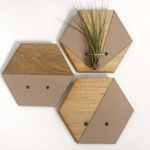 Load image into Gallery viewer, Blush Hexagon Wall Hanging Planter for Air Plants Display /
