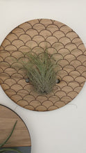 Load and play video in Gallery viewer, Small Round Engraved Wall Hanging Planter for Air Plants
