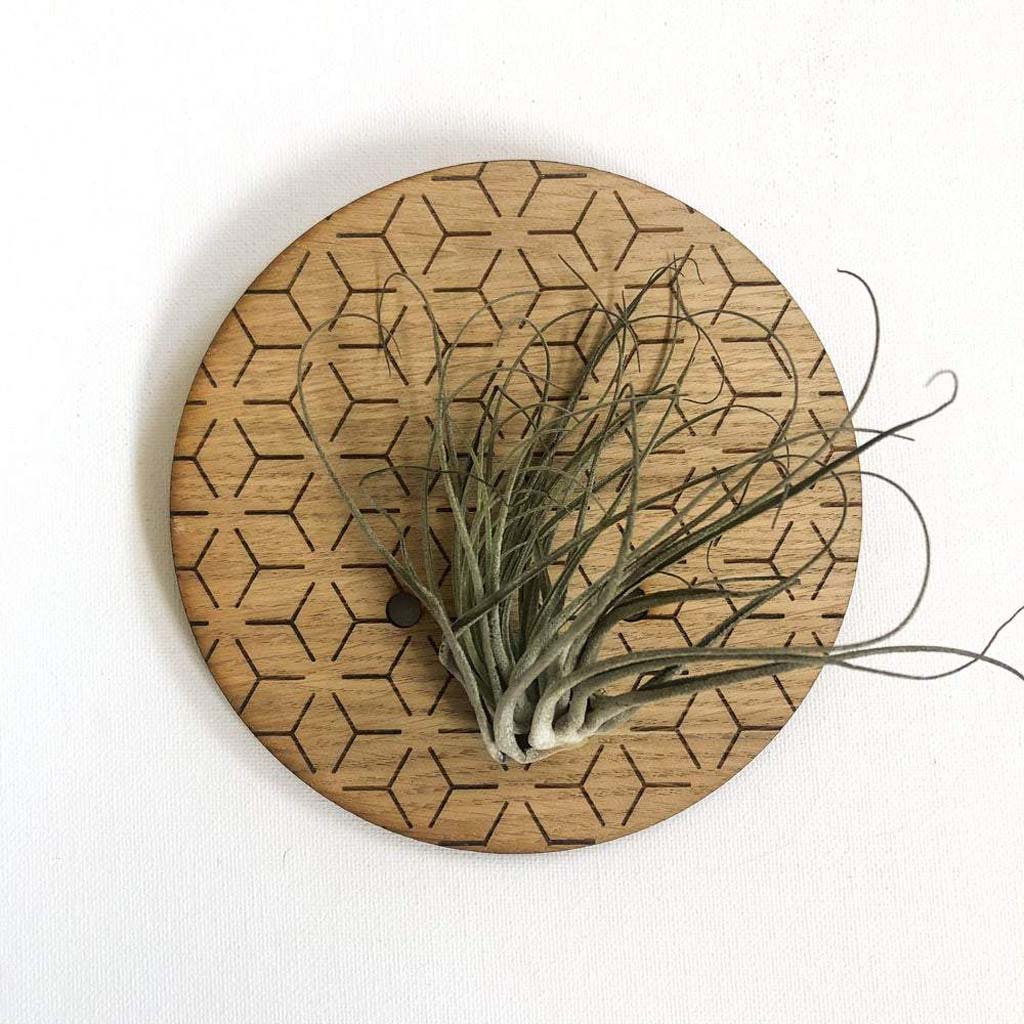 Small Round Engraved Wall Hanging Planter For air Plants Display