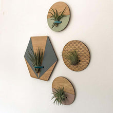 Load image into Gallery viewer, Small Round Engraved Wall Hanging Planter for Air Plants

