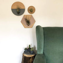 Load image into Gallery viewer, Blush Hexagon Wall Hanging Planter for Air Plants Display _
