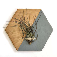 Load image into Gallery viewer, Grey Hexagon Wall Hanging Planter for Air Plants Display /
