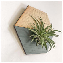 Load image into Gallery viewer, Grey Hexagon Wall Hanging Planter for Air Plants Display _
