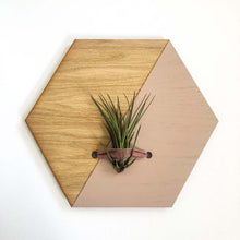 Load image into Gallery viewer, Blush Hexagon Wall Hanging Planter for Air Plants Display /
