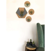 Load image into Gallery viewer, Grey Hexagon Wall Hanging Planter for Air Plants Display _
